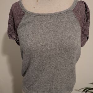 American Eagle Outfitters Raglan Short Sleeve T-Shirt in Purple and Gray